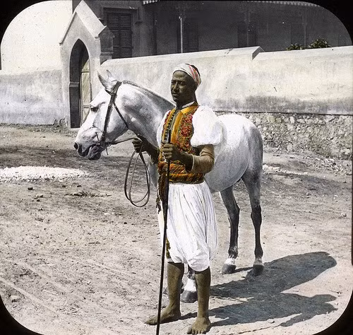 Con ngựa trắng được một người đàn ông sử dụng để di chuyển đến nhiều nơi ở Ai Cập những năm 1900.