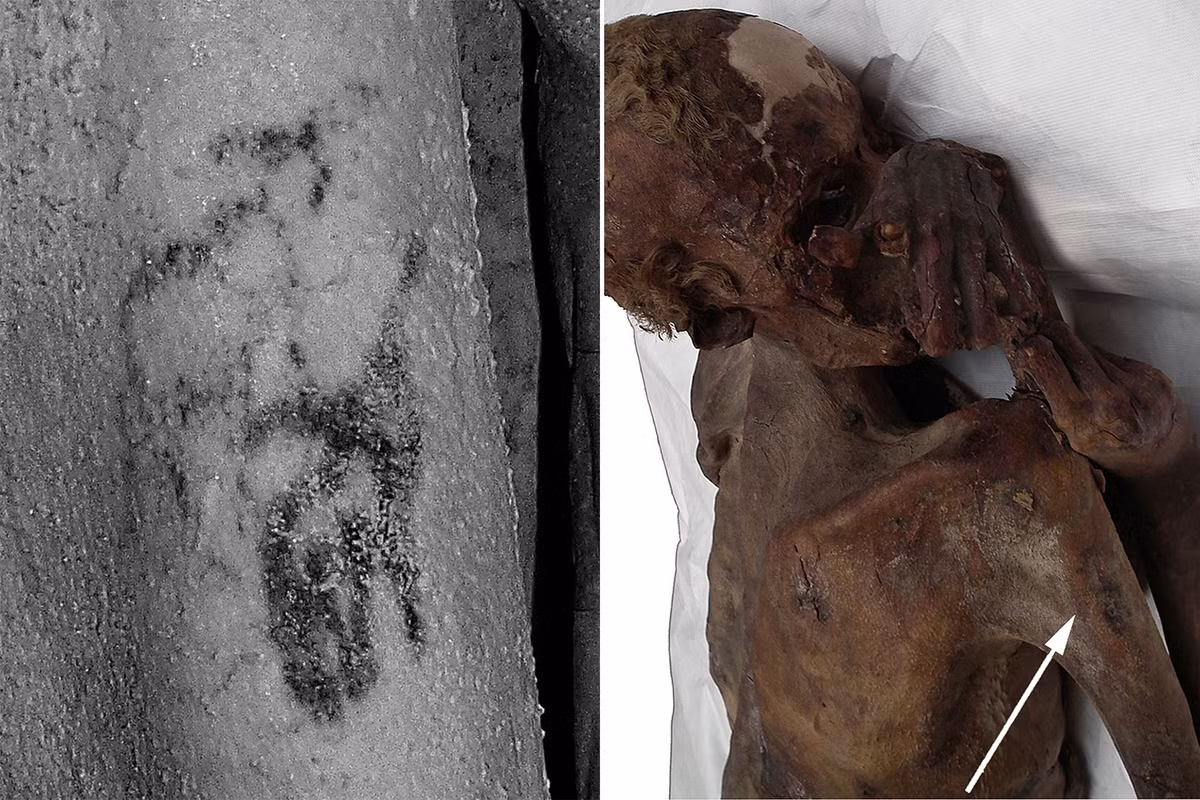 Các chuyên gia cũng phát hiện người đàn ông hơn 5.000 tuổi này dường như bị đâm và giết từ phía sau.