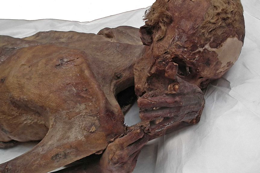 Gebelein Man A hay còn gọi Ginger là tên khoa học mà giới chuyên gia đặt cho xác ướp tự nhiên tìm thấy ở thung lũng sông Nile, Ai Cập vào cuối những năm 1800.