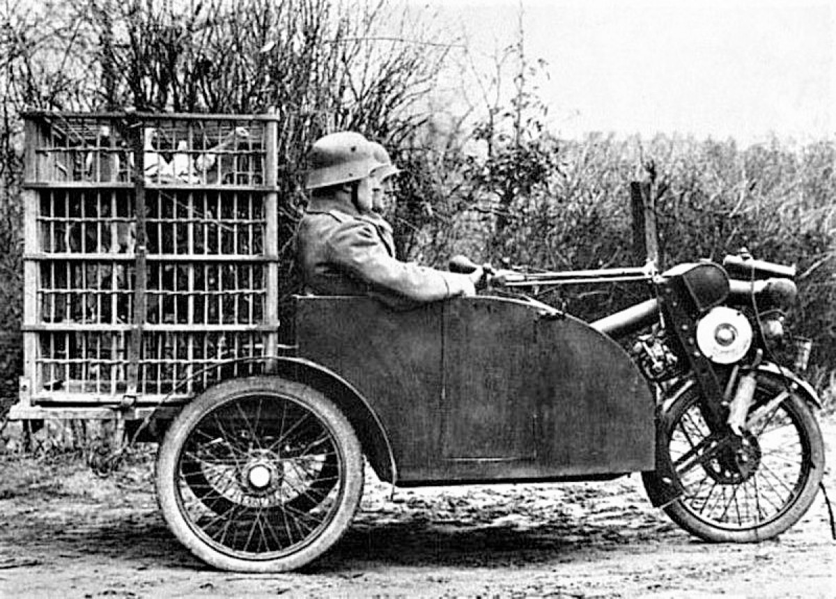 Kể từ sau Chiến tranh thế giới 1, chim bồ câu đưa thư dần biến mất trên chiến trường do các chuyên gia sáng chế ra nhiều cách thức liên lạc mới trên chiến trường với ưu điểm nổi trội hơn.