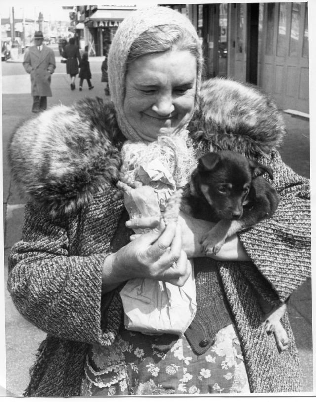 Người phụ nữ lớn tuổi ôm trong tay một chú cún nhỏ.