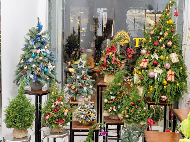 Thong tuoi mini gia re dat khach dip Noel