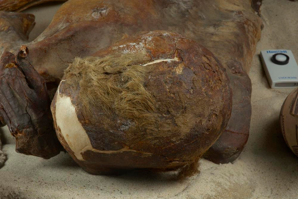 Trong điều kiện này, vi khuẩn không thể tồn tại và quá trình phân hủy tử thi không diễn ra.