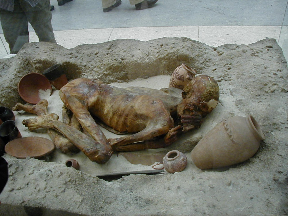 Theo các chuyên gia, xác ướp "Ginger" thuộc về một người đàn ông qua đời khi khoảng 18 - 21 tuổi. Người này sống trong khoảng thời gian từ năm 3351 trước Công nguyên - 3017 trước Công nguyên.