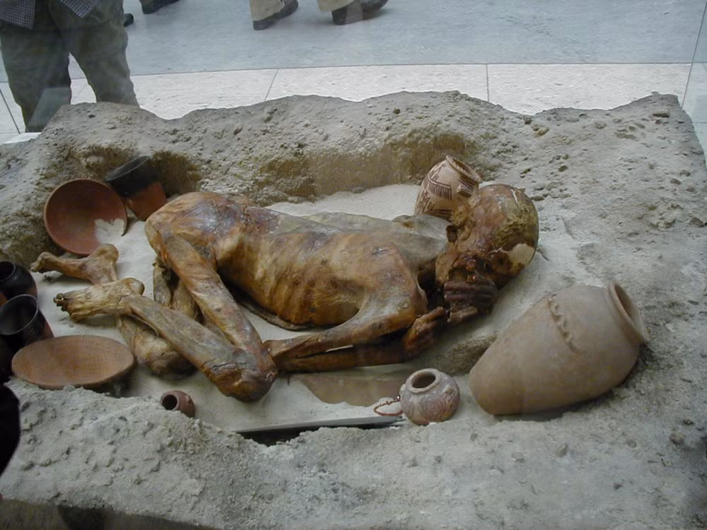 Theo các chuyên gia, xác ướp "Ginger" thuộc về một người đàn ông qua đời khi khoảng 18 - 21 tuổi. Người này sống trong khoảng thời gian từ năm 3351 trước Công nguyên - 3017 trước Công nguyên.