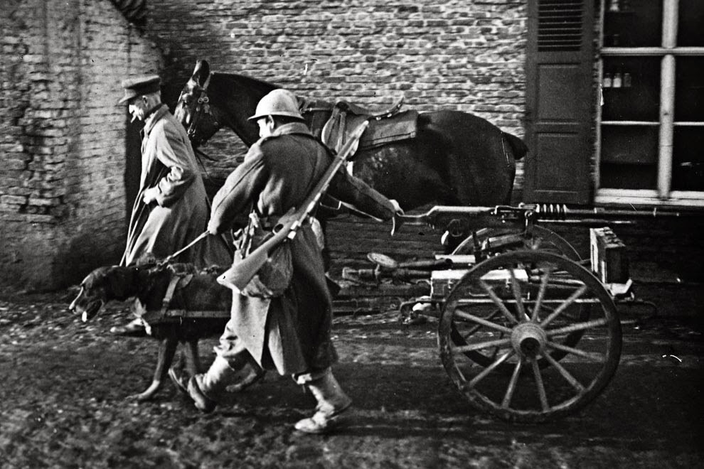 Trong Thế chiến 1, ngựa, chó là những động vật được quân đội Pháp và một số nước sử dụng trong một số nhiệm vụ.