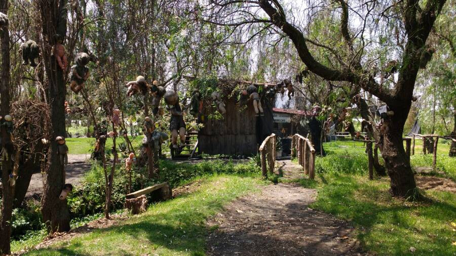 Nằm ở phía nam thành phố Mexico, đảo La Isla de las Muñecas hay còn gọi đảo Búp bê là một địa điểm du lịch hấp dẫn khách thích mạo hiểm và trải nghiệm bầu không khí ma quái, rùng rợn. Điều này xuất phát từ việc trên đảo treo nhiều búp bê quái dị.