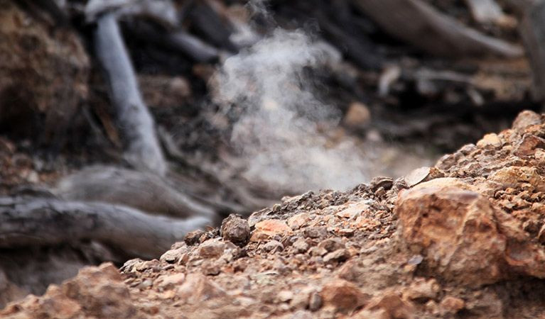 Sự việc kỳ thú xảy ra ở núi Wingen được phát hiện lần đầu vào năm 1828. Khi ấy, một người nông dân có tên Smart, làm việc tại nhà ga Cressfield nhìn thấy khói bốc lên từ những ngọn đồi trên núi Wingen.