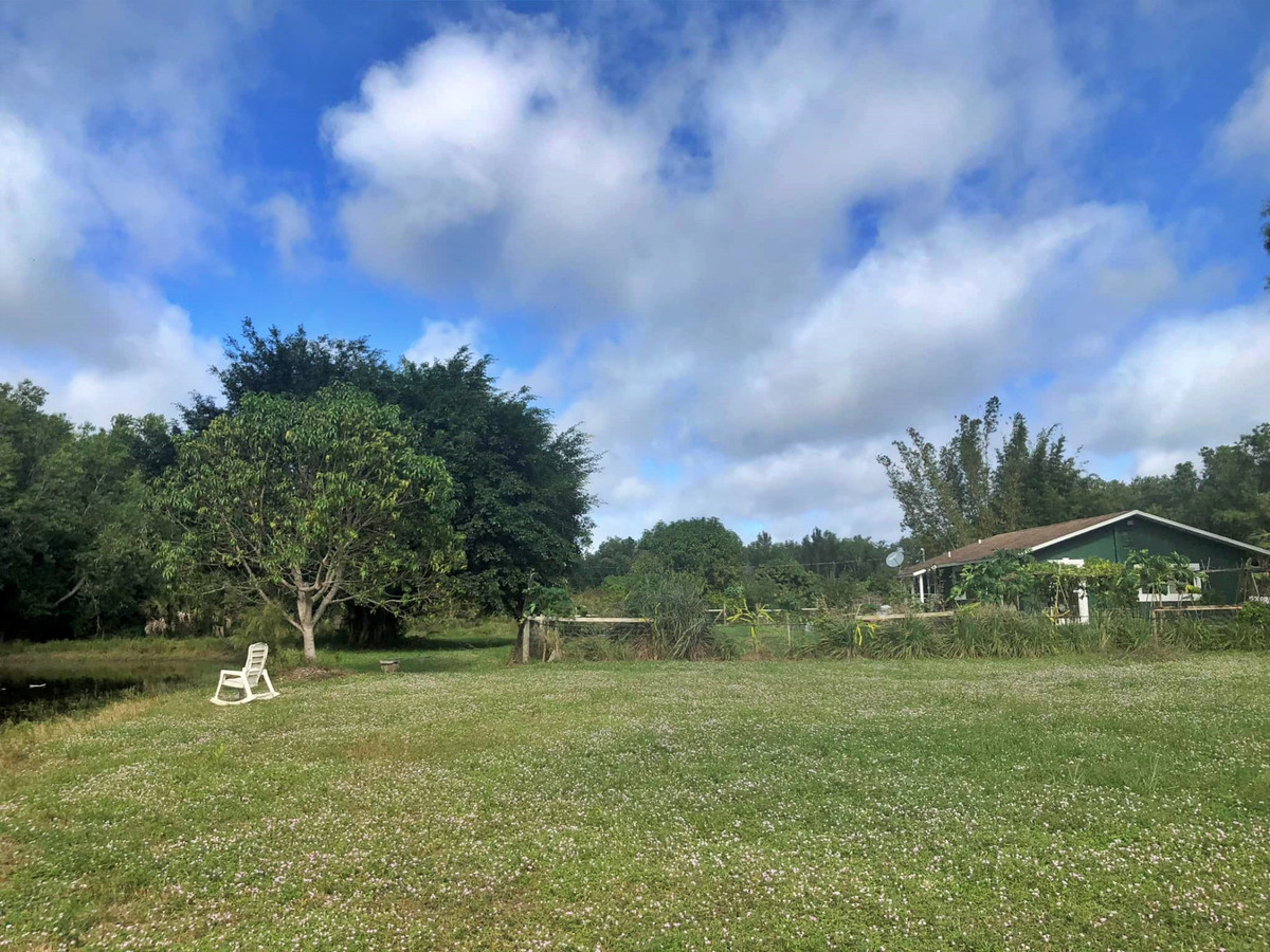 Vợ Việt rủ chồng Mỹ bỏ phố về rừng, cuốc đất trồng sen - Hình 2 Vo Viet ru chong My bo pho ve rung, cuoc dat trong sen-Hinh-2