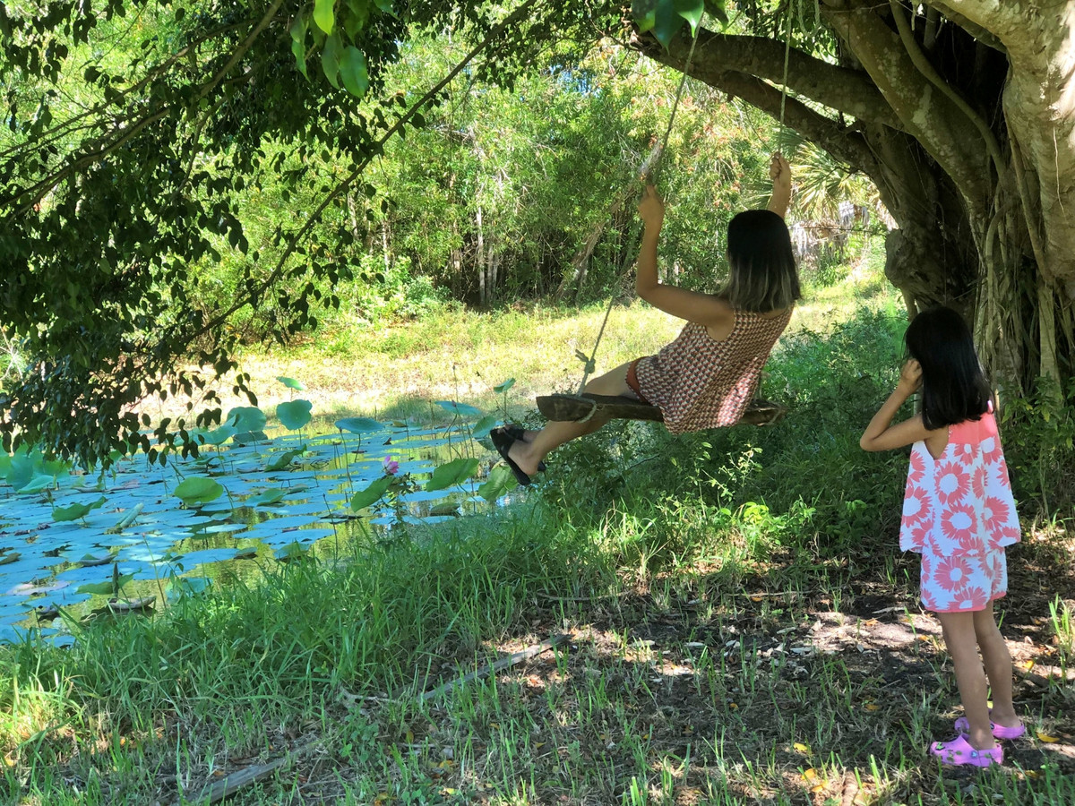 Vợ Việt rủ chồng Mỹ bỏ phố về rừng, cuốc đất trồng sen - Hình 7 Vo Viet ru chong My bo pho ve rung, cuoc dat trong sen-Hinh-7