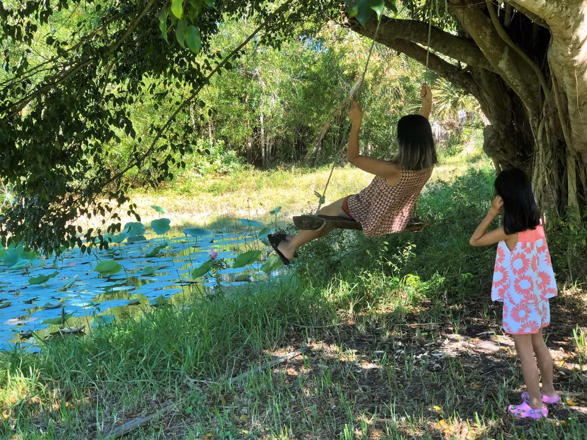 Vo Viet ru chong My bo pho ve rung, cuoc dat trong sen-Hinh-7