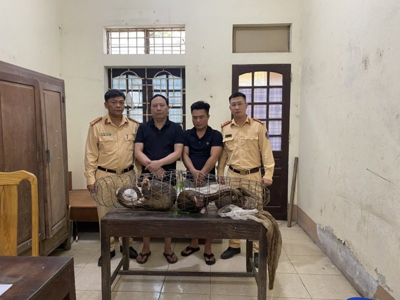 Nghệ An: Bắt giữ nhiều vụ vận chuyển động vật hoang dã quý hiếm Nghe An: Bat giu nhieu vu van chuyen dong vat hoang da quy hiem