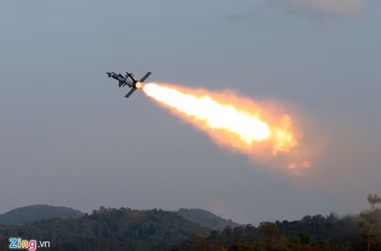 Tổ hợp tên lửa phòng không S-125 Pechora dùng để tiêu diệt các loại mục tiêu kích thước nhỏ, bay thấp và chống lại các phương tiện tấn công đường không hiện tại và tương lai trong điều kiện nhiễu phức tạp.