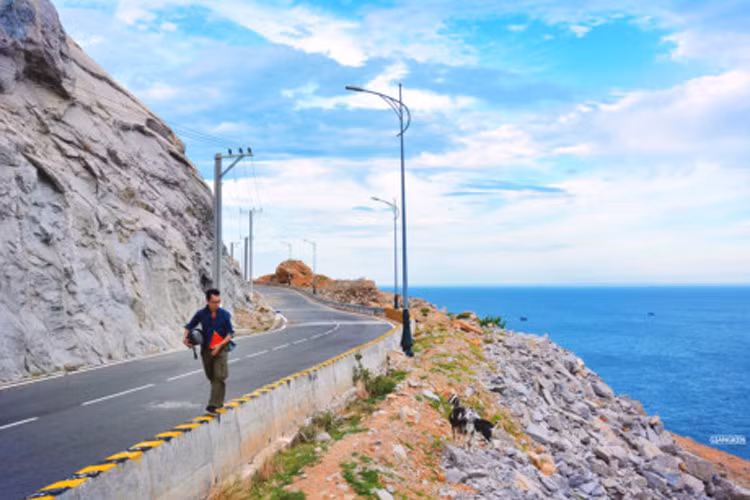 Ở vùng “gió như Phan, nắng như Rang”, không khó để bạn bắt gặp đàn cừu, dê nhẩn nha bên vệ đường, đôi khi con đường lại xuyên qua những vườn nho xanh mướt mát. Bạn có thể ghé mũi Dinh và đồi cát Nam Cương trên cung này.