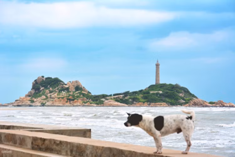 Hành trình bắt đầu từ Vũng Tàu, nhưng phần lớn dân đi đều chọn xuất phát từ TP.HCM. Qua đèo Nước Ngọt (Bà Rịa - Vũng Tàu), hãy chuẩn bị tinh thần để đón những ngày hè rực lửa. Một trong những điểm đến không thể bỏ qua đầu tiên là hải đăng Kê Gà - ngọn hải đăng cổ nhất Việt Nam tại Bình Thuận.