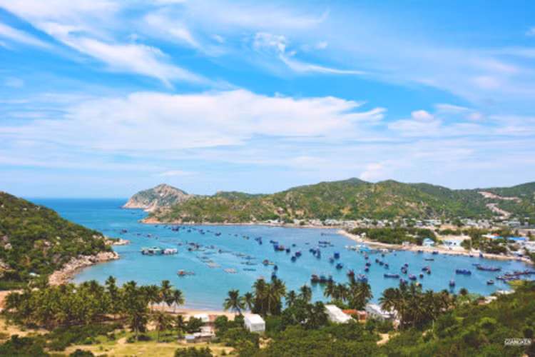 Vịnh Vĩnh Hy là một trong những vịnh đẹp nhất nước. Hãy vào làng chài núp dưới tán dừa, tắm biển, thưởng thức hải sản ngư dân địa phương vừa đánh bắt và lặn ngắm san hô trong vịnh.