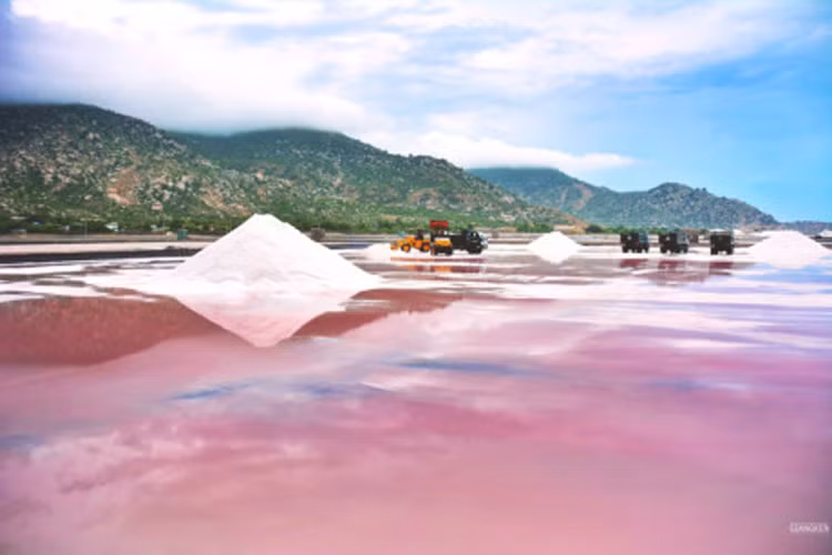 Tiếp tục hành trình qua Cổ Thạch (Bình Thuận). Nơi này có bãi đá bảy màu kỳ diệu và mùa rêu đá độc nhất vô nhị khoảng tháng 3. Ninh Thuận chào đón kẻ lữ hành với bãi Cà Ná. Nghề làm muối từ lâu đời ở đây tạo nên khung cảnh đồng muối đẹp ngỡ ngàng.