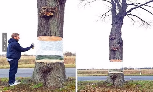 Cây vô hình”, một sản phẩm của nhà hội họa thiên tài. Chắc chắn bạn đang không thể tin vào mắt mình bởi hiệu ứng.