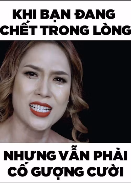 Một số người hâm mộ còn chế ảnh “họa mi tóc nâu” trong MV mới với những câu nói hài hước. Ảnh: Thể thao văn hóa