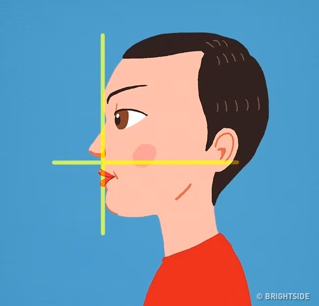 Hình dáng cằm tiết lộ chính xác tình trạng sức khỏe - Hình 4 Hinh dang cam tiet lo chinh xac tinh trang suc khoe-Hinh-4