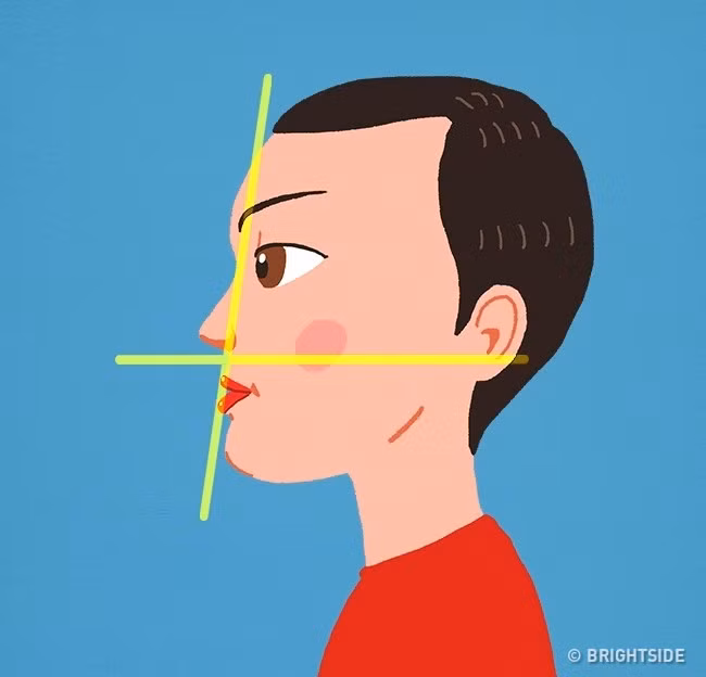 Hình dáng cằm tiết lộ chính xác tình trạng sức khỏe Hinh dang cam tiet lo chinh xac tinh trang suc khoe