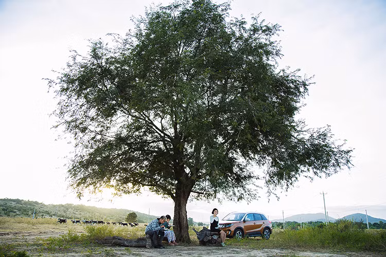 Miu Lê bật mí rằng nhân vật của Hoàng Phi là một trong những nhân vật quan trọng nhất của phim, nếu không có nhân vật này thì sẽ không có "Nắng 2".