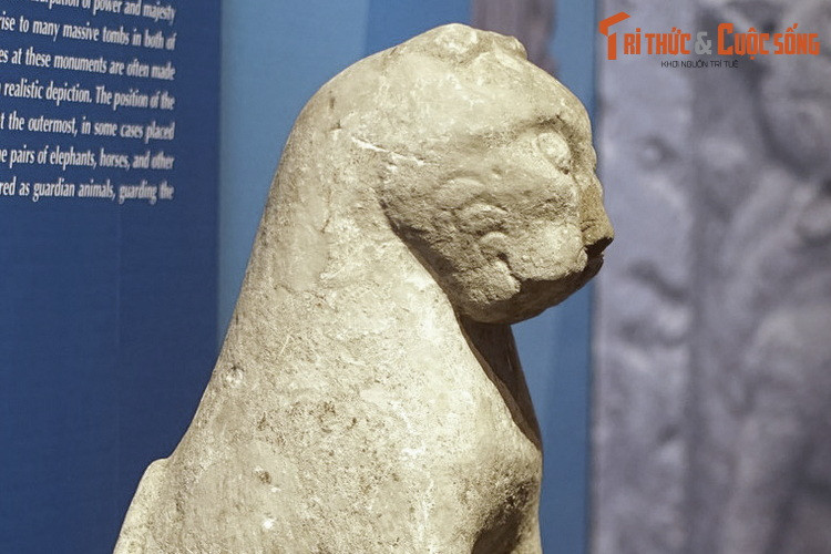 Với cách bố trí như vậy, có thể hiểu hổ được coi như hộ môn thú, canh các cửa các khu lăng mộ...