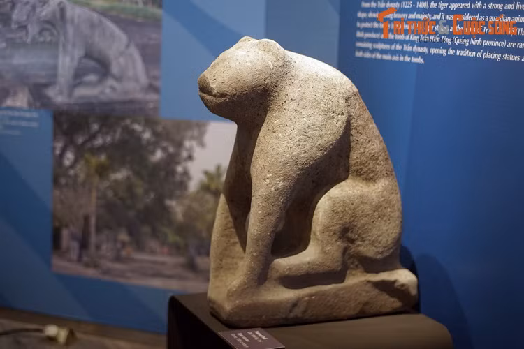 Sang thời Lê Sơ (thế kỷ 15-16), lăng mộ các vua Lê ở Lam Kinh (Thanh Hóa) thường có 10 pho tượng với kích thước nhỏ chia làm 5 đôi, gồm quan hầu, lân, tê giác, ngựa và hổ. Ở một số lăng muộn hơn, tượng voi được dùng thay tượng hổ. Ảnh: Tượng hổ thế kỷ 15, BT Lịch sử Quốc gia.