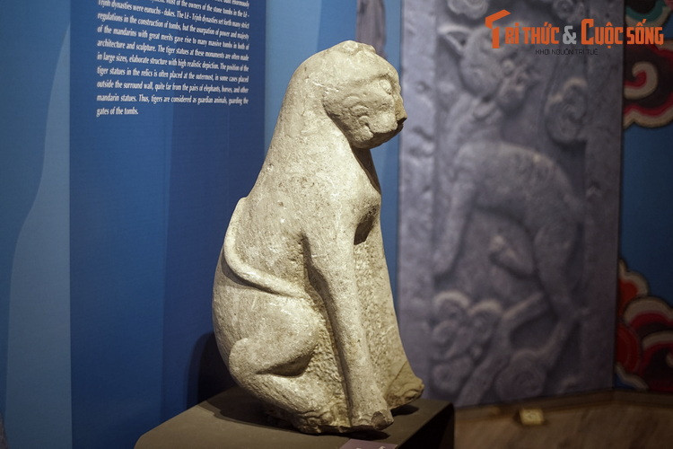 Tượng hổ tại các di tích thời kỳ này thường được làm với kích thước lớn, khối hình chau chuốt, mang tính tả thực cao. Ảnh: Tượng hổ thế kỷ 17-18, BT Lịch sử Quốc gia.