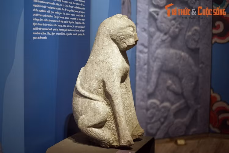 Tượng hổ tại các di tích thời kỳ này thường được làm với kích thước lớn, khối hình chau chuốt, mang tính tả thực cao. Ảnh: Tượng hổ thế kỷ 17-18, BT Lịch sử Quốc gia.