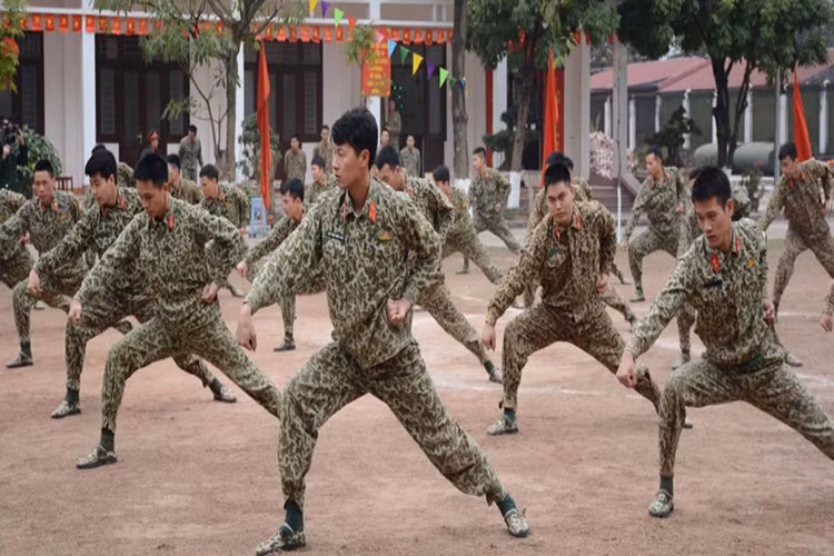 Biểu diễn võ tay không.