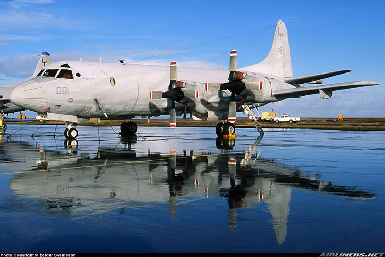 So sánh với một số chủng loại tiềm năng khác như C-295MPA, Tu-142, Il-38N thì P-3C được đánh giá rất cao ở các hệ thống điện tử hiện đại, có khả năng triển khai nhiều loại vũ khí uy lực mạnh và nhất là giá thành ở mức chấp nhận được, thời hạn phục vụ còn tương đối dài. Nguồn ảnh: Airliners.net.