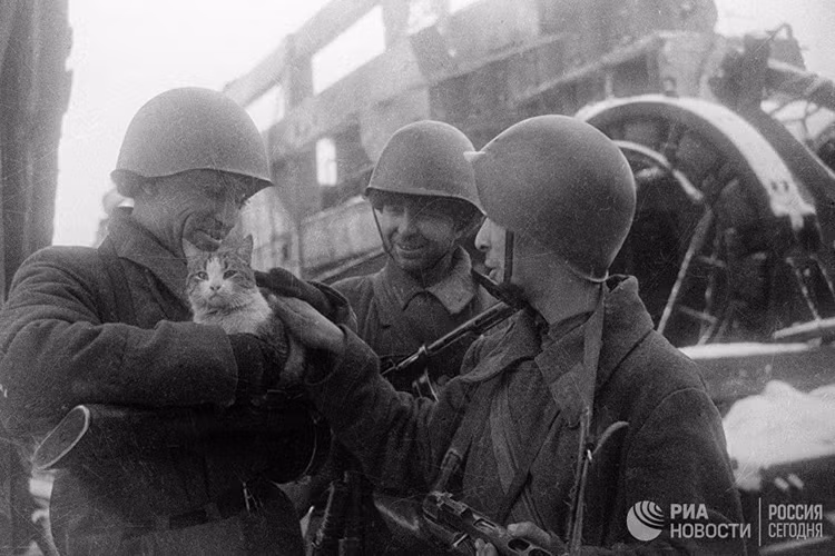 Các nhà sử học thế giới đều nhận định rằng chiến thắng Stalingrad ảnh hưởng trực tiếp tới cục diện Mặt trận phía Đông cũng như Chiến tranh Thế giới thứ 2. Nguồn ảnh: RIA.