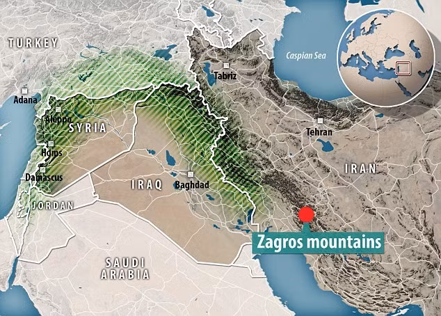 Theo lực lượng cứu hộ khẩn cấp quốc gia Iran, một trực thăng của lực lượng này đã được điều đến hiện trường song không thể hạ cánh do thời tiết quá xấu.