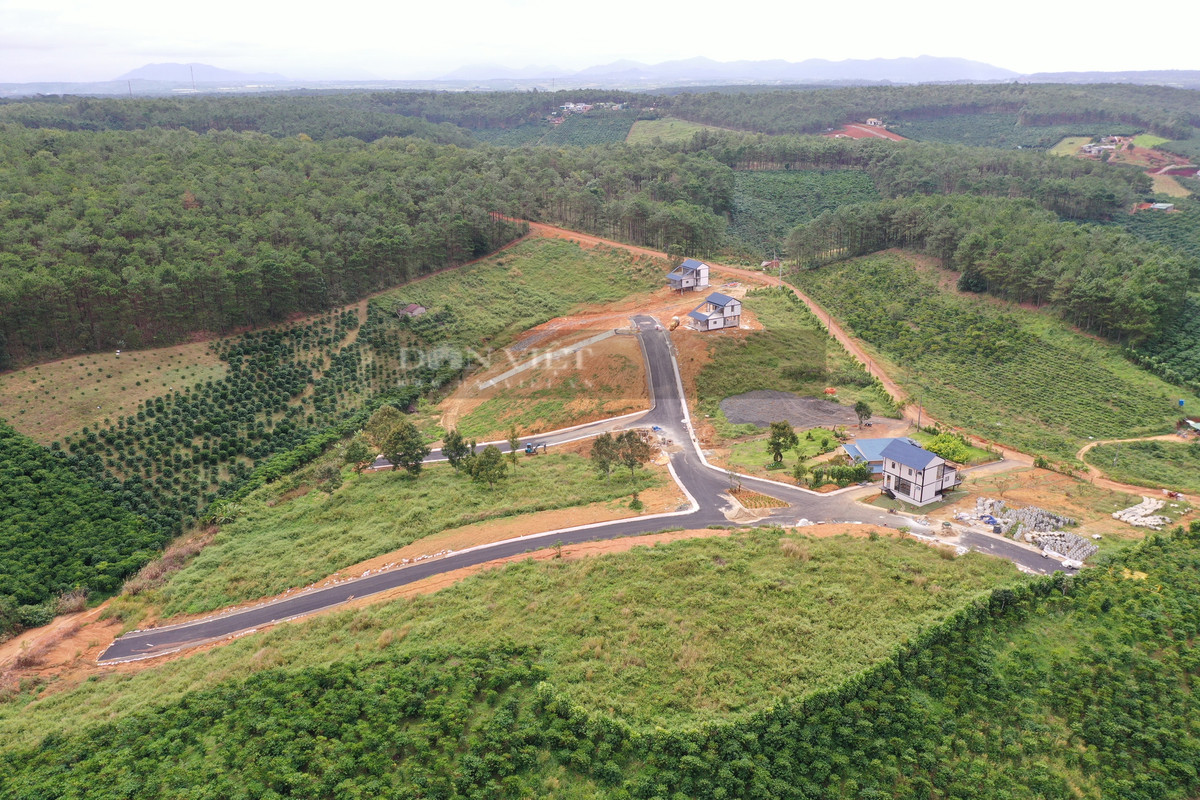 Qua kiểm tra, các thửa đất trên thuộc tờ bản đồ 48, mục đích sử dụng đất được ghi rõ là đất ở và đất nông nghiệp. Hiện các thửa đất đang được chủ sử dụng xây dựng các công trình nhà ở nông thôn. (Ảnh: Dân Việt).