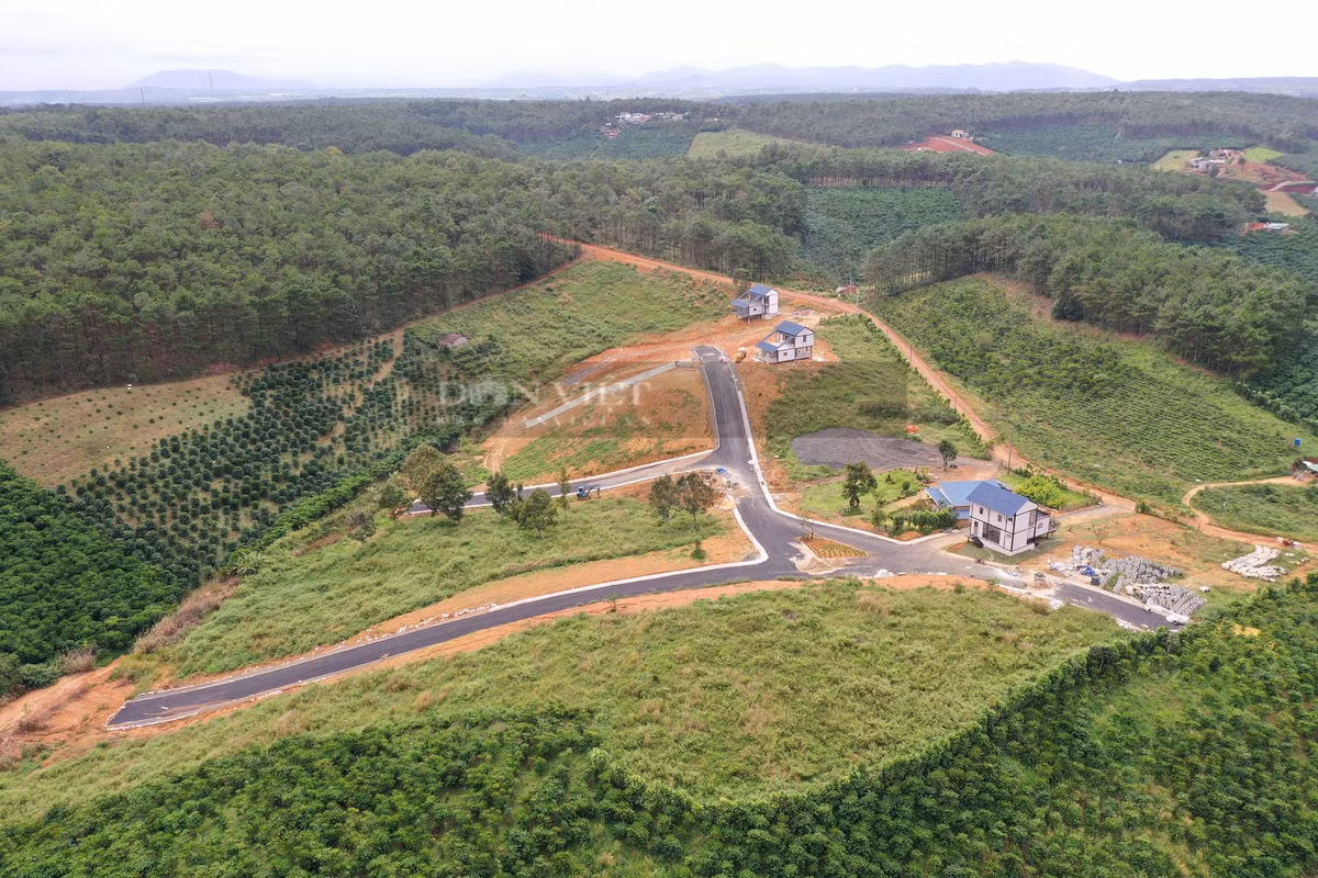 Qua kiểm tra, các thửa đất trên thuộc tờ bản đồ 48, mục đích sử dụng đất được ghi rõ là đất ở và đất nông nghiệp. Hiện các thửa đất đang được chủ sử dụng xây dựng các công trình nhà ở nông thôn. (Ảnh: Dân Việt).