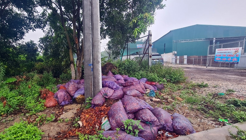 Rác thải nông sản còn được đóng vào bao tải lưới, chất đống la liệt ở các góc đường, đứng gần mùi hôi thối bốc lên nồng nặc.