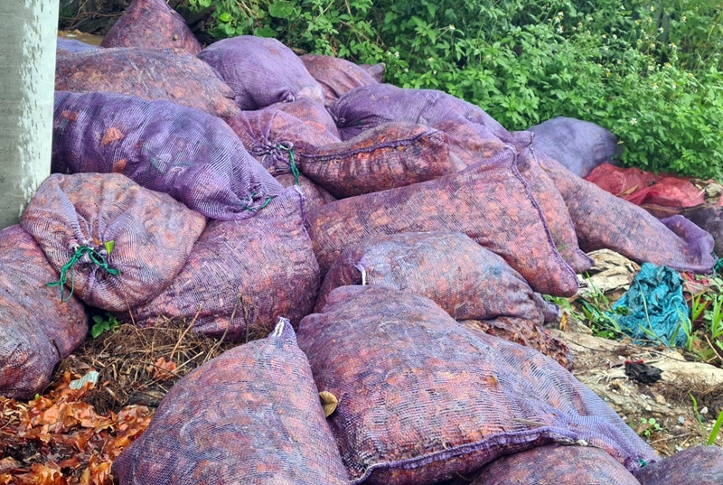 Những bao rác thải có dấu hiệu nhiều ngày chưa được xử lý.