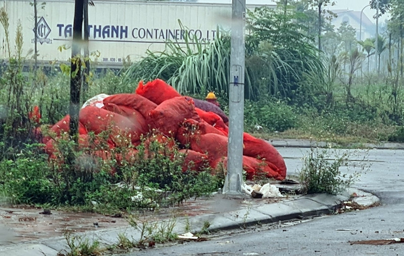 Rác thải từ các sản phẩm nông sản chất đống la liệt ra đường. Người dân di chuyển trên con đường làng chạy qua khu nhà xưởng đều cảm thấy bức xúc.