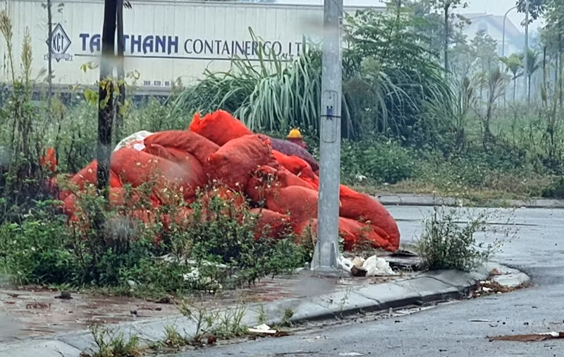 Rác thải từ các sản phẩm nông sản chất đống la liệt ra đường. Người dân di chuyển trên con đường làng chạy qua khu nhà xưởng đều cảm thấy bức xúc.