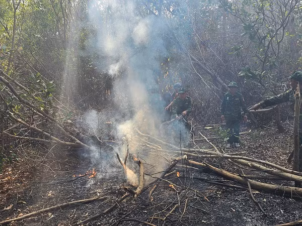 Bà Rịa - Vũng Tàu: Điều tra nguyên nhân vụ cháy 3.000 m2 rừng Ba Ria - Vung Tau: Dieu tra nguyen nhan vu chay 3.000 m2 rung