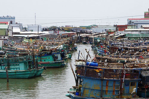 Hàng nghìn tàu thuyền đã được đưa vào bờ tránh bão ở cửa biển Sông Đốc, tỉnh Cà Mau.