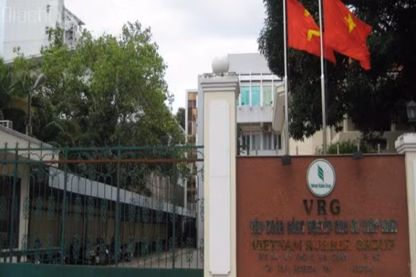 Nguyên Chủ tịch HĐTV Tập đoàn Cao su Việt Nam bị khởi tố. Ảnh minh họa.