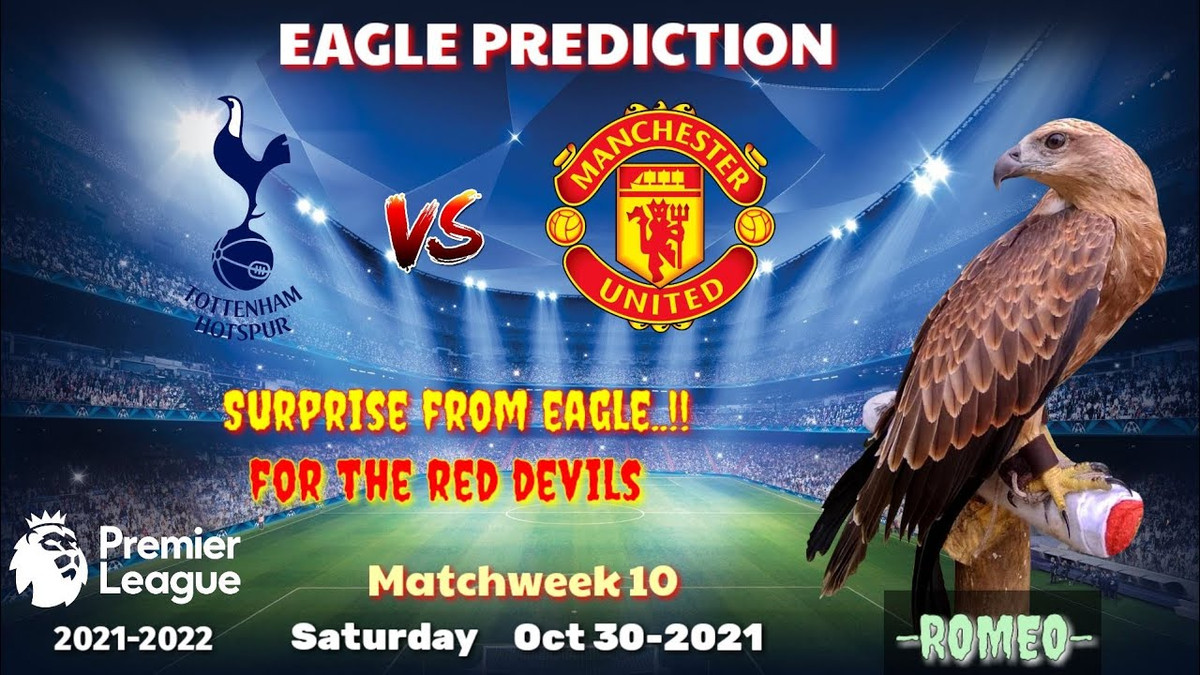 Trong khi đó, đại bàng Romeo là “nhà tiên tri” từng gây sốt khi dự đoán chính xác nhà vô địch Euro 2021. Ngoài ra, chú chim này cũng đưa ra nhiều dự đoán bóng đá chính xác trong các giải bóng đá ngoại hạng Anh, La Liga, Copa America 2021.