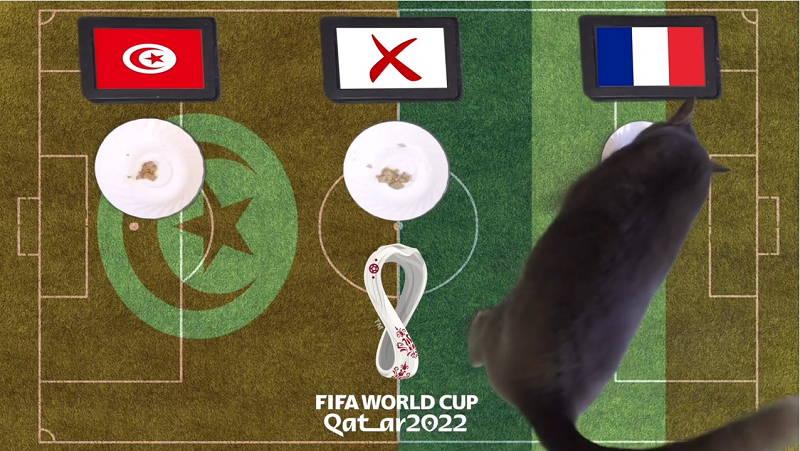 Cũng giống như những trận đấu trước ở World Cup 2022, mới đây chú mèo tiên tri Cass đã đưa ra lựa chọn cho riêng mình về trận đấu giữa Pháp vs Tunisia. Theo đó, chú mèo nổi tiếng này đã lựa chọn ĐT Pháp sẽ giành trọn 3 điểm trước đại diện đến từ châu Phi.