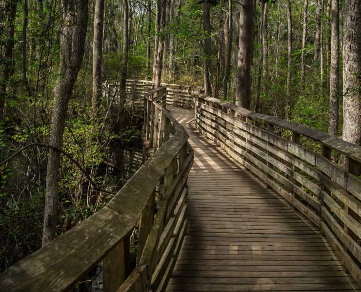 Những con đường mòn ngoằn ngoèo nhường chỗ cho một cảnh quan đa dạng về đầm lầy. Có một hiện tượng vô cùng đặc sắc và lý thú xuất hiện trên vùng nước ở nơi đây được gọi là " đầm lầy cầu vồng" đã thu hút rất nhiều sự chú ý.