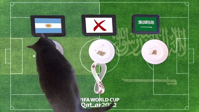 Không có đội nào giúp cho mèo Cass "nở mày nở mặt", khi Argentina bại trận bất ngờ trước Ả Rập Xê Út, còn Đan Mạch và Ba Lan chỉ có được những trận hòa.