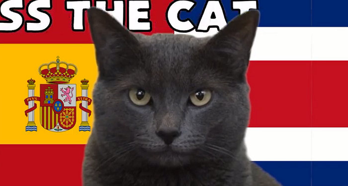 "Mèo tiên tri" là cái tên quen thuộc được nhắc đến trước mỗi trận đấu ở World Cup 2022. Chú mèo Cass là một trong những “nhà tiên tri” lừng danh trong làng bóng đá trong gần 10 năm qua. Cứ mỗi giải đấu lớn, nhân vật này lại nổi như cồn.