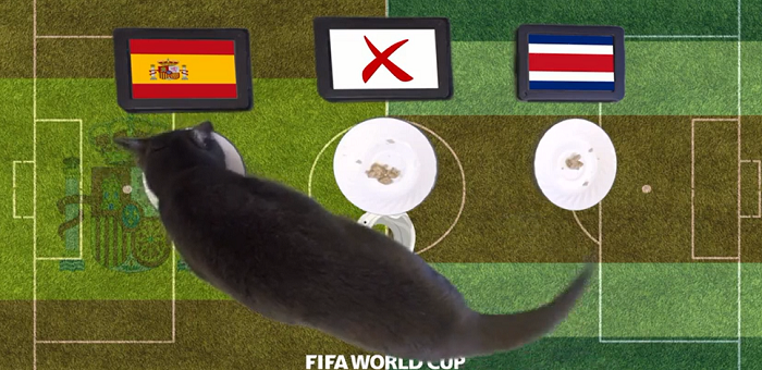 Ban đầu Copland chỉ làm cho vui vì anh từng học quay và dựng phim, nhưng dần dần anh nhận ra tỉ lệ dự đoán chính xác của mèo Cass rất cao. Không chỉ trong lĩnh vực thể thao, chú mèo này còn đoán đúng việc ông Donald Trump giành chiến thắng trước bà Hilary Clinton trong cuộc bầu cử Tổng thống Mỹ.