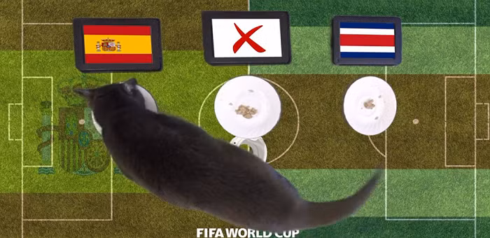 Ban đầu Copland chỉ làm cho vui vì anh từng học quay và dựng phim, nhưng dần dần anh nhận ra tỉ lệ dự đoán chính xác của mèo Cass rất cao. Không chỉ trong lĩnh vực thể thao, chú mèo này còn đoán đúng việc ông Donald Trump giành chiến thắng trước bà Hilary Clinton trong cuộc bầu cử Tổng thống Mỹ.